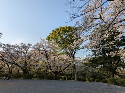 image0.jpeg