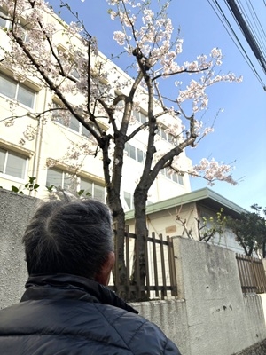 20260331_hirakawa_ 03s.JPG