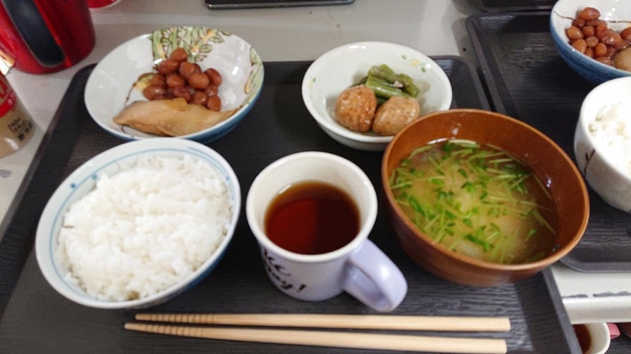 豆苗　④.jpg