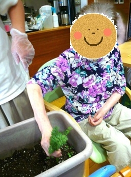 人参収穫2.JPG
