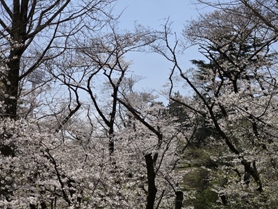 image1.jpeg