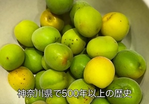 image0.jpeg