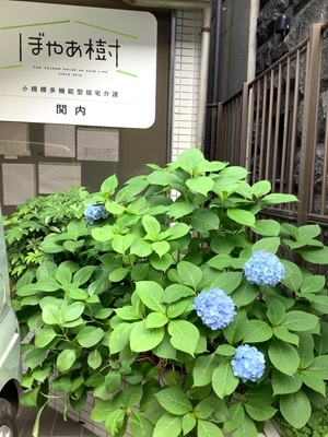 ①.JPG