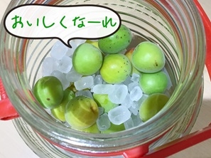 image6.jpeg