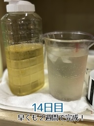 image3.jpeg
