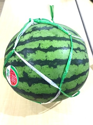 image3.jpeg