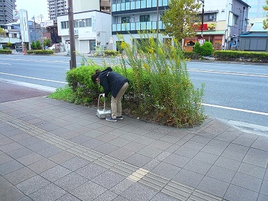 12.1掃除①.JPG