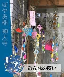 image4.jpeg