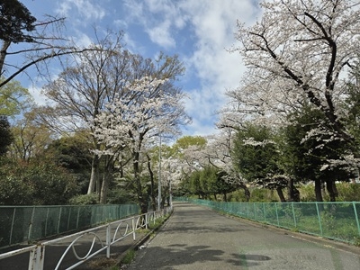 image0.jpeg