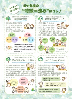 ぼやあ樹の特徴